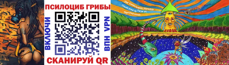 Псилоцибиновые грибы мицелий darknet какой сайт Шацк